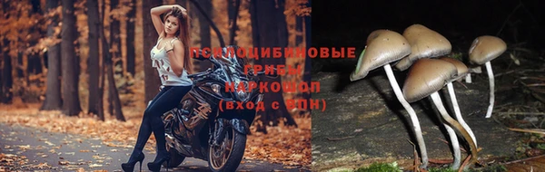 меф VHQ Новозыбков