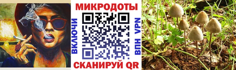 Псилоцибиновые грибы мицелий наркота Ялуторовск