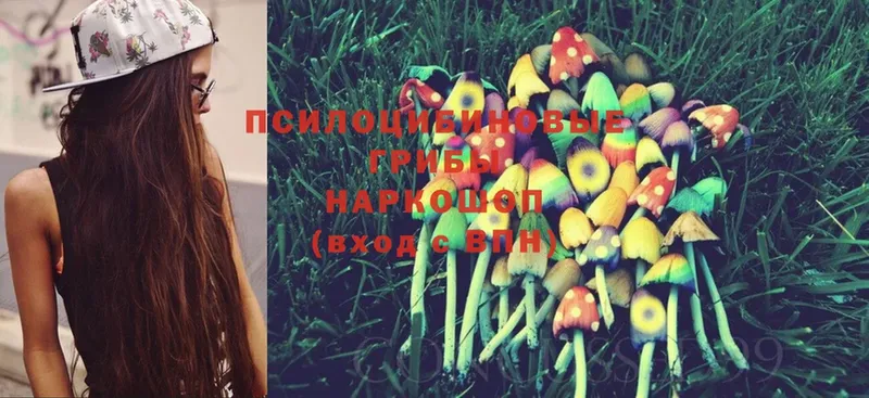 Псилоцибиновые грибы Magic Shrooms  цена   Ялуторовск 